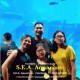 SEA Aquarium All day + Maritime  (Adult)