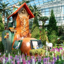 Garden by the bay (flower dome + cloud forest) (Adult)